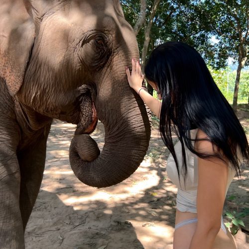 woman-gently-touching-elephant-sanctuary